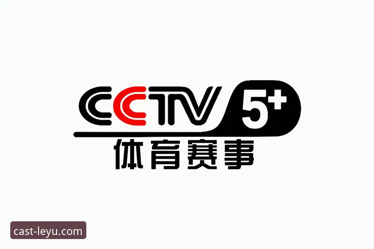 乐鱼体育客户端实用指南：从版本选择到赛事直播的必备知识